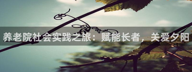 韦德新品