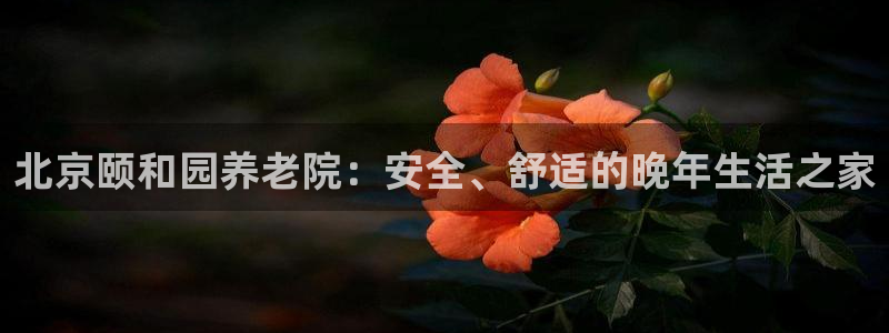 韦德网站是多少