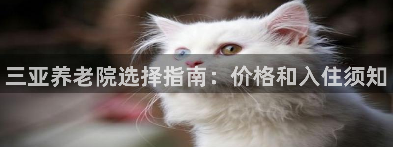 韦德2014