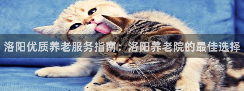 韦德1946国际