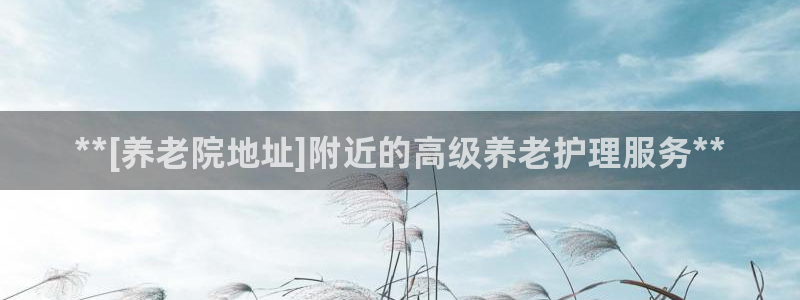 韦德官方网址大全