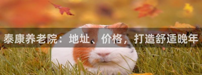 韦德betvlctor1946