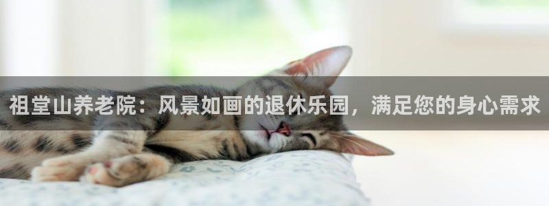 韦德观战总决赛G3
