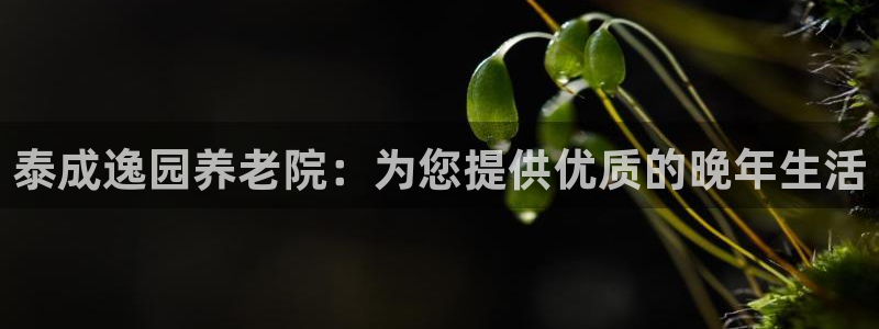 韦德国际体育