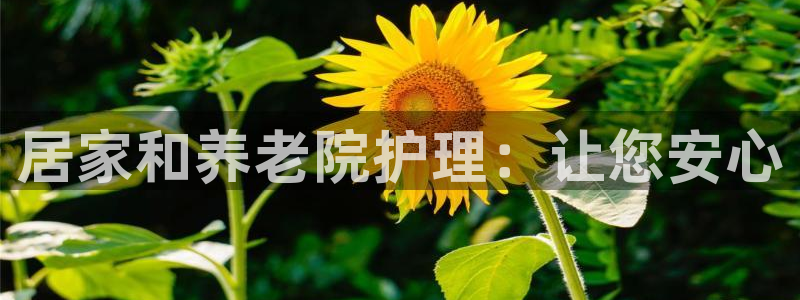 韦德8月22日开启中国行