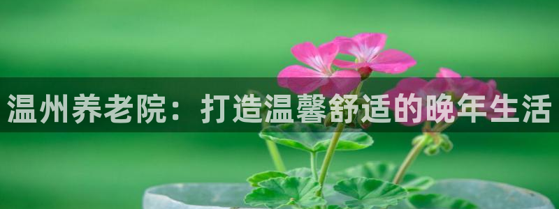 韦德 网址