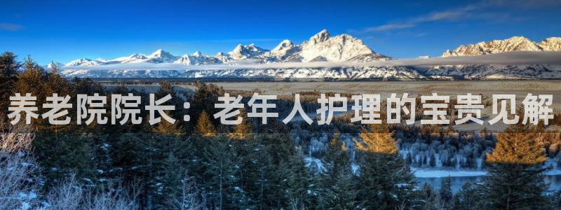 韦德是哪一届