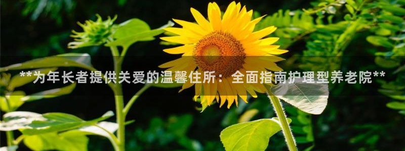 韦德惨案