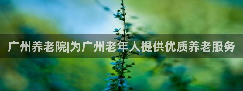 韦德1946游戏