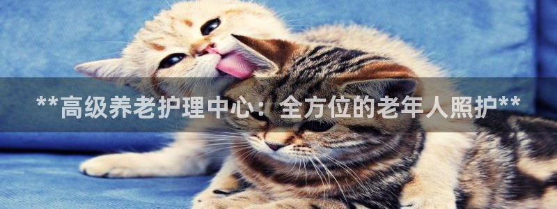 bet韦德1946