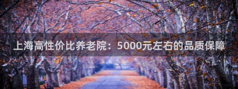 韦德1567