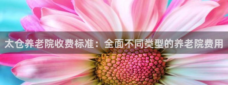 1946韦德游戏