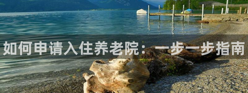 韦德属于什么