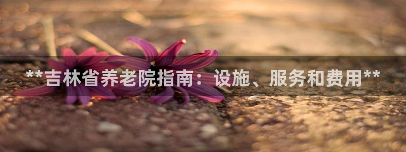 韦德1946备用网站