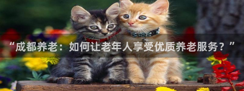 韦德betvlctor1946