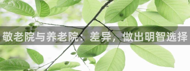 韦德事件