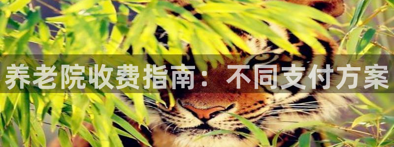 韦德bietview官网