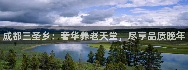韦德是哪个