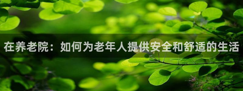 韦德 网站