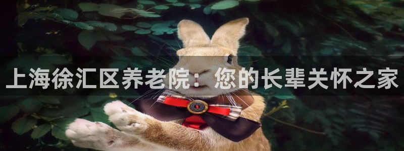 韦德1946国际娱乐