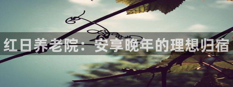 韦德1946国际娱乐