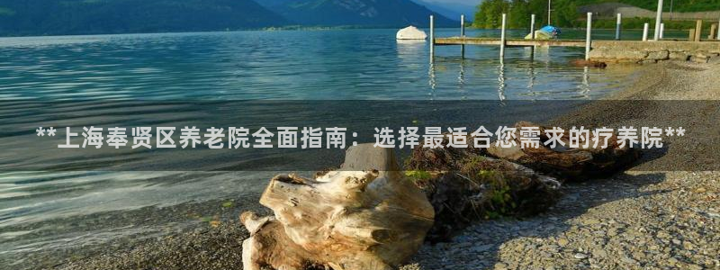 韦德官网注册推荐网站是什么