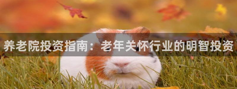 韦德的地位