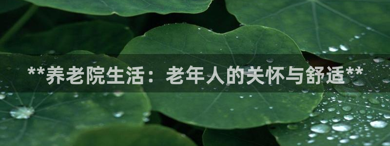 韦德网站是多少