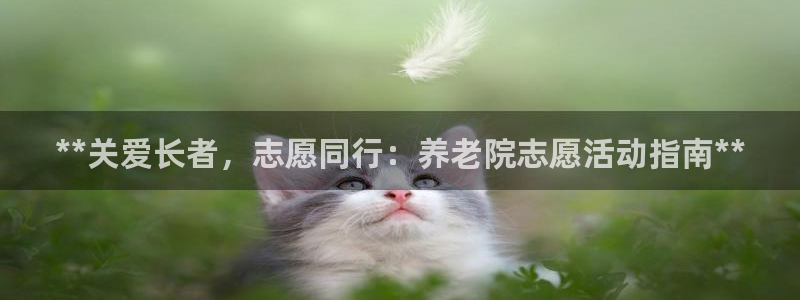 韦德国际1946官网