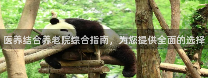 韦德bietview官网