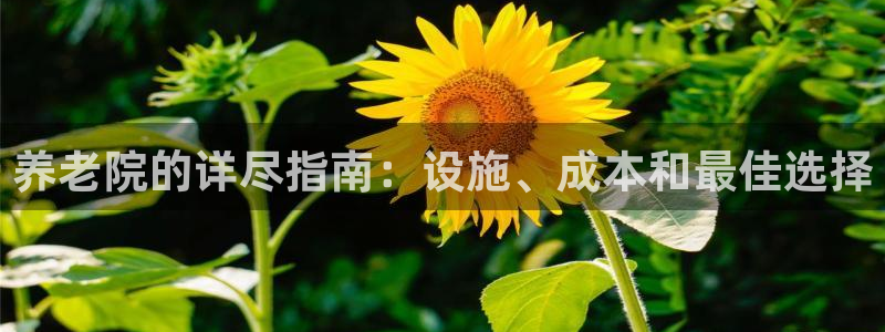 韦德官方下载