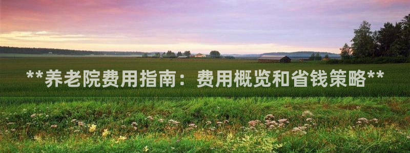 韦德观战总决赛G3