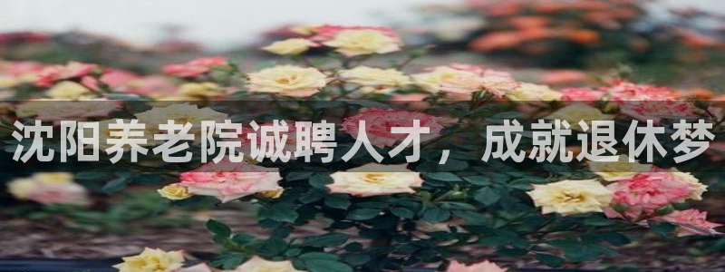 韦德注册手机版下载