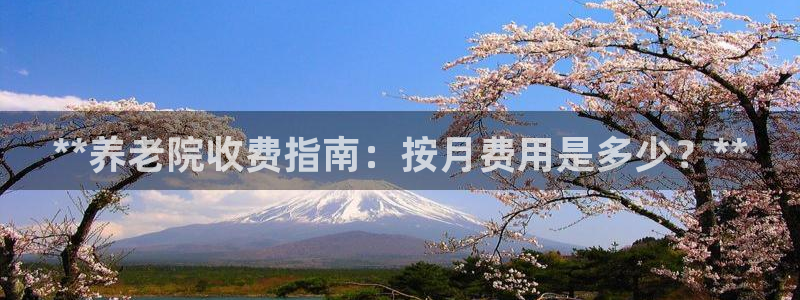 韦德1946官方