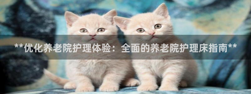 韦德1946游戏