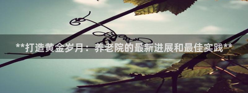 韦德 官网