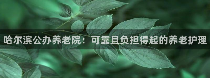 韦德合集