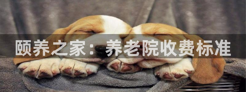 韦德官网在线
