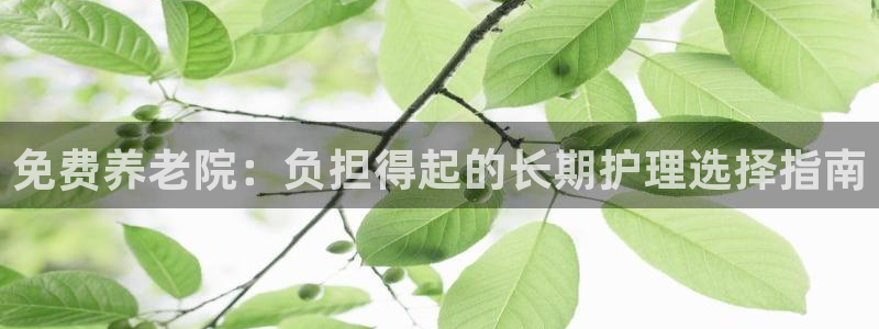韦德1946bv1946