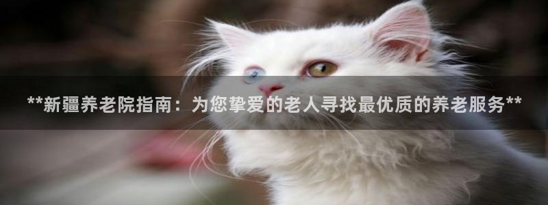 韦德2014