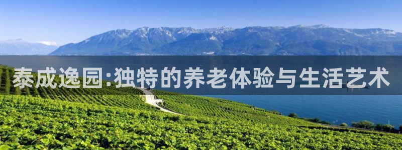 韦德1946官方