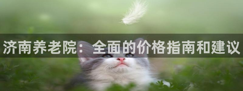 韦德官网注册推荐网站是什么