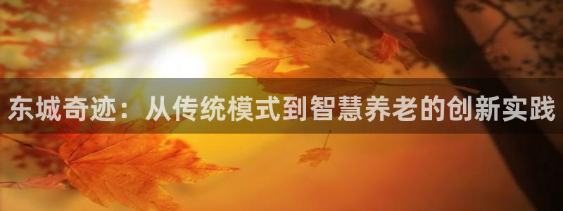 韦德1946备用网站