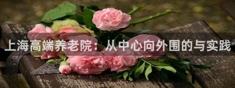 韦德观战总决赛G3