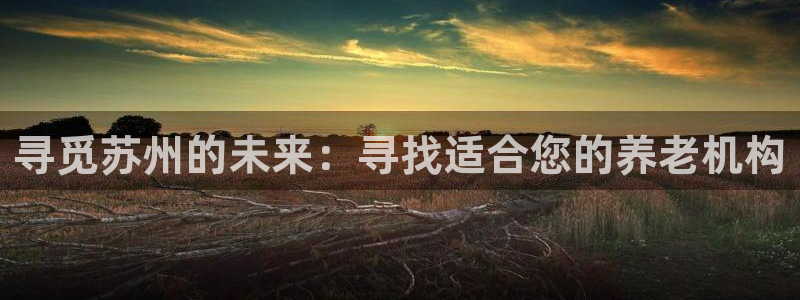 韦德1946中文官网