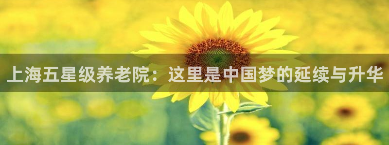 韦德网址
