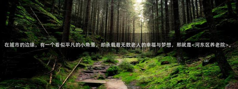 韦德游戏是什么