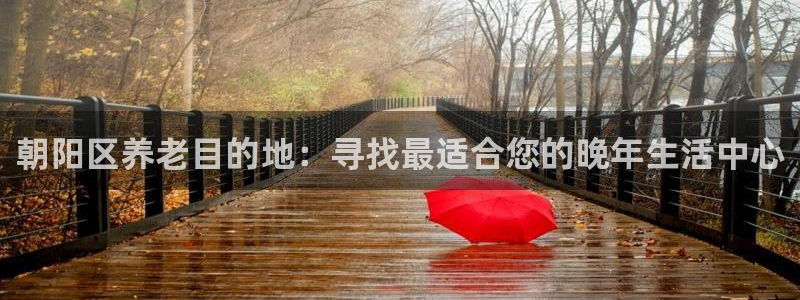 韦德2014