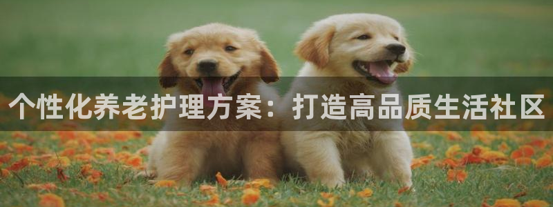 韦德注册手机版