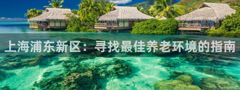 韦德1946始于英国
